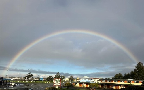 Curly Redwood Lodge image 39
