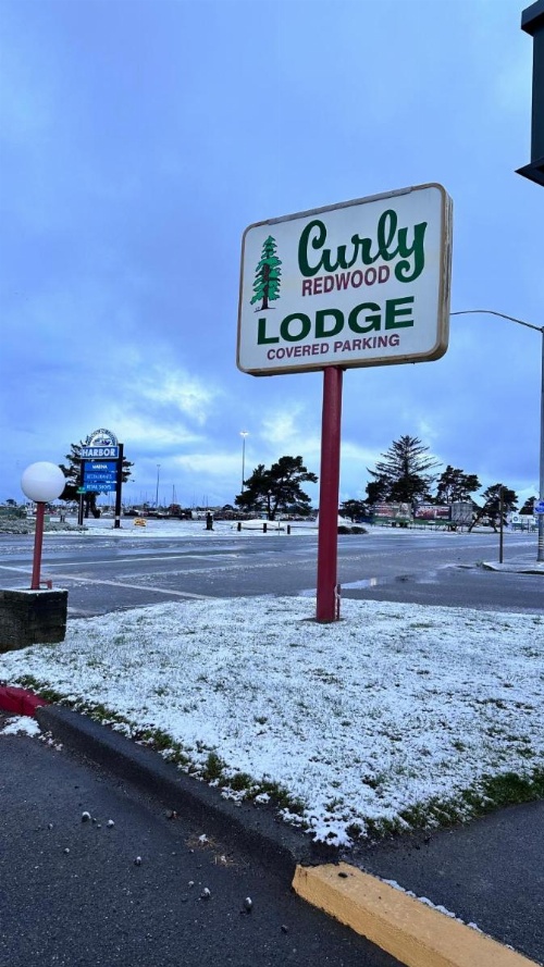 Curly Redwood Lodge image 40