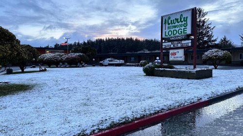 Curly Redwood Lodge image 41