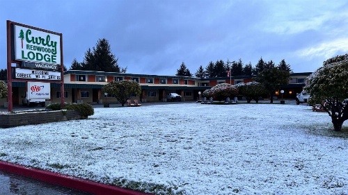 Curly Redwood Lodge image 42
